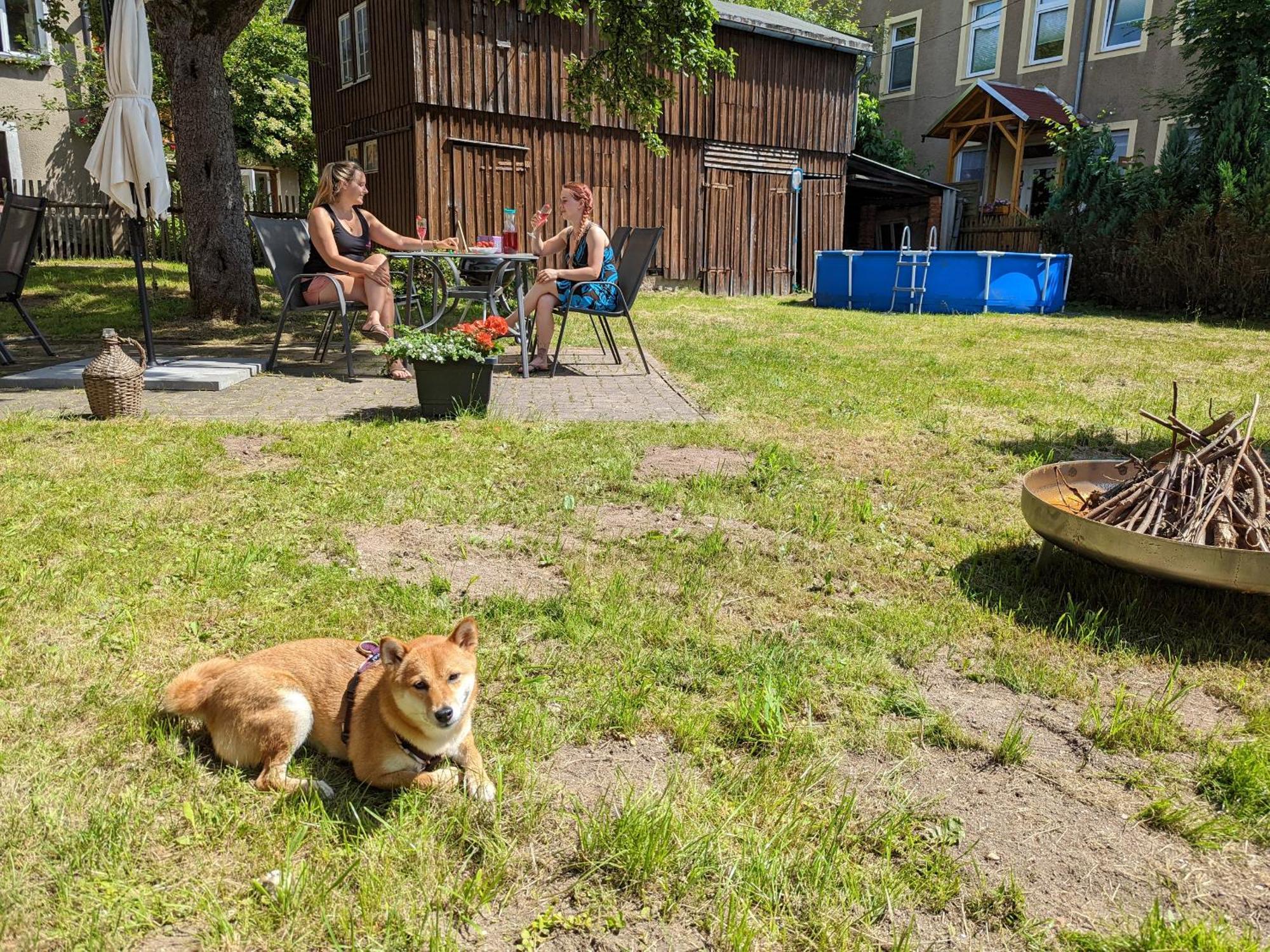 H2 - Urlaubsmagie - Garten, Pool, Terrasse, Grill Sebnitz Luaran gambar