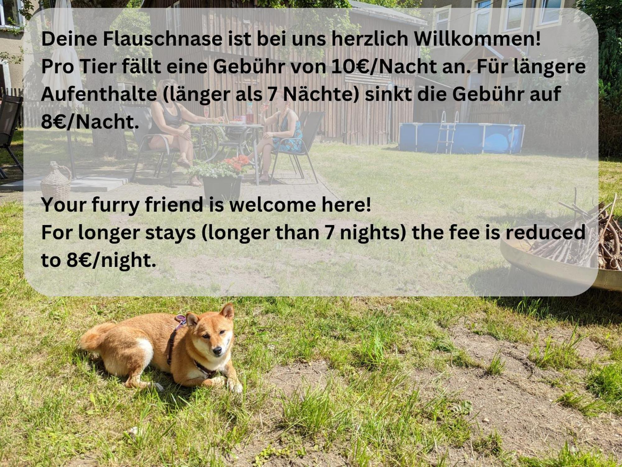 H2 - Urlaubsmagie - Garten, Pool, Terrasse, Grill Sebnitz Luaran gambar